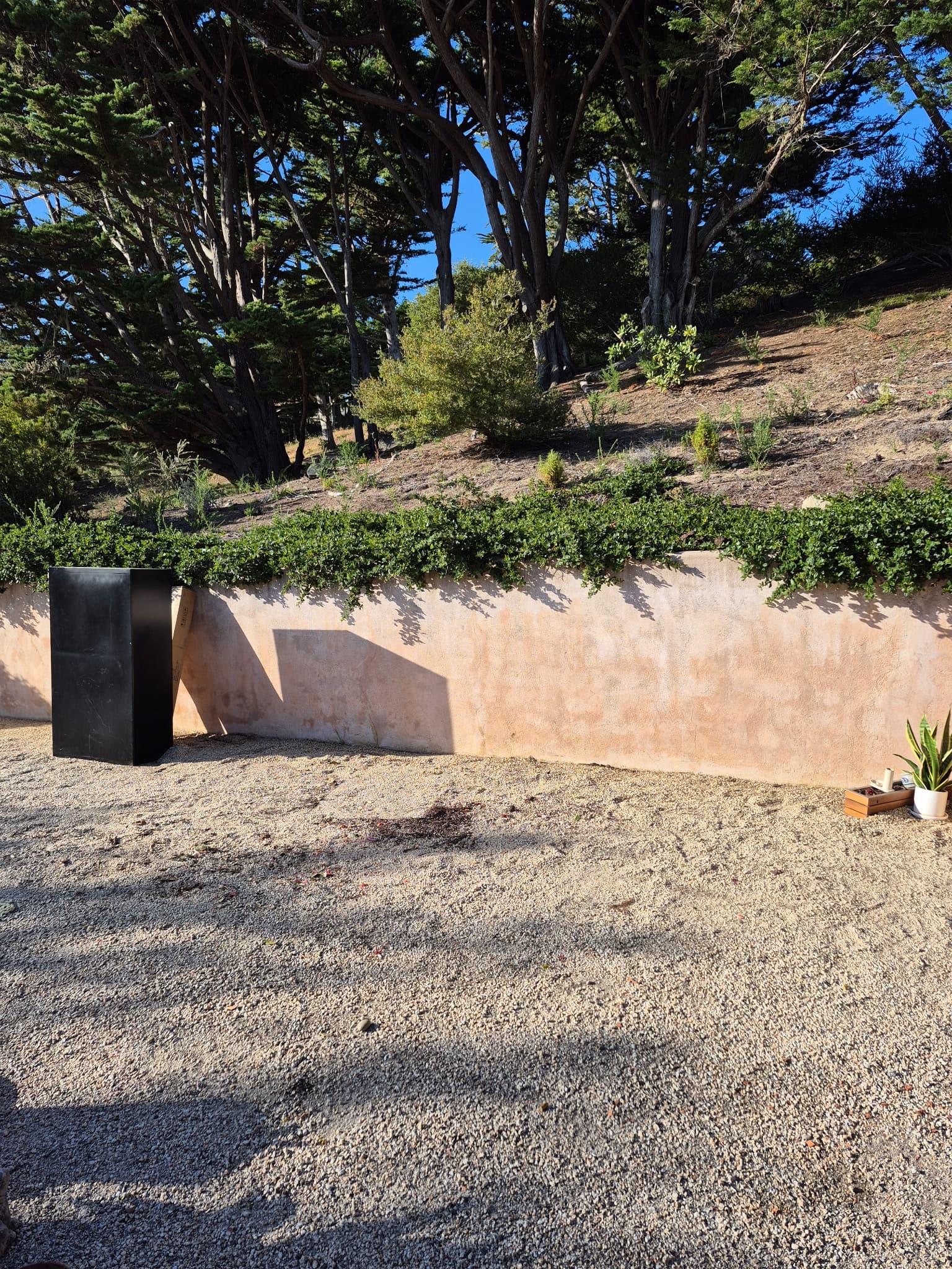 Limpieza de propiedad, Monterey